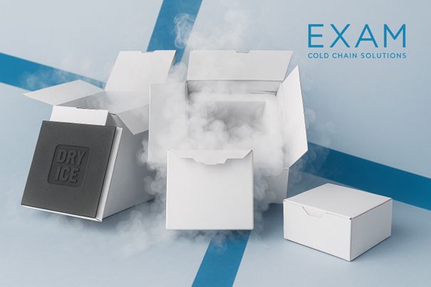 Image of Exam's Boxes